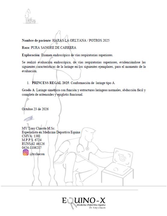 Imagen de endoscopia